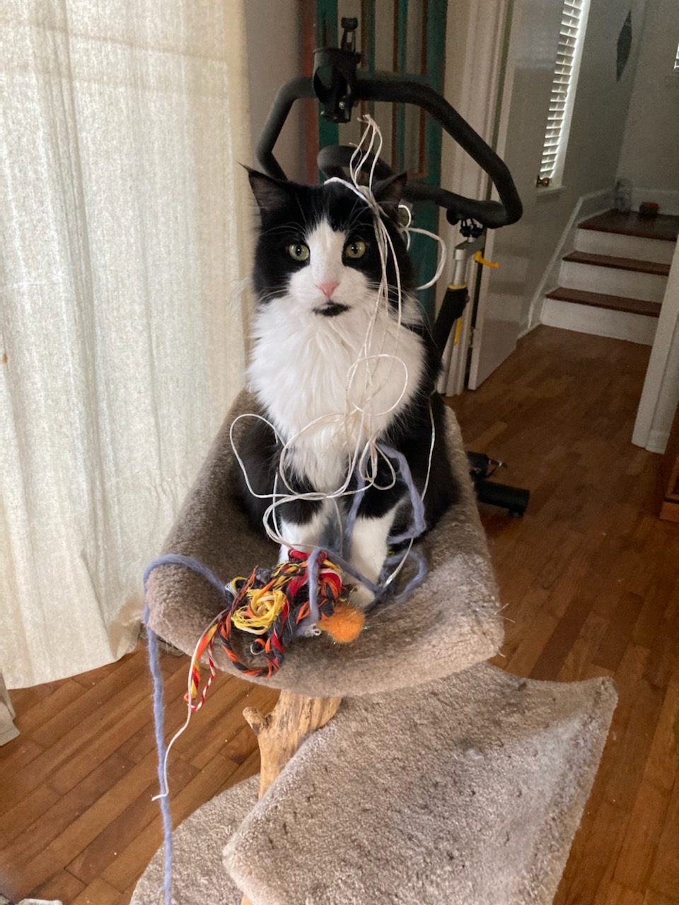 click for larger size