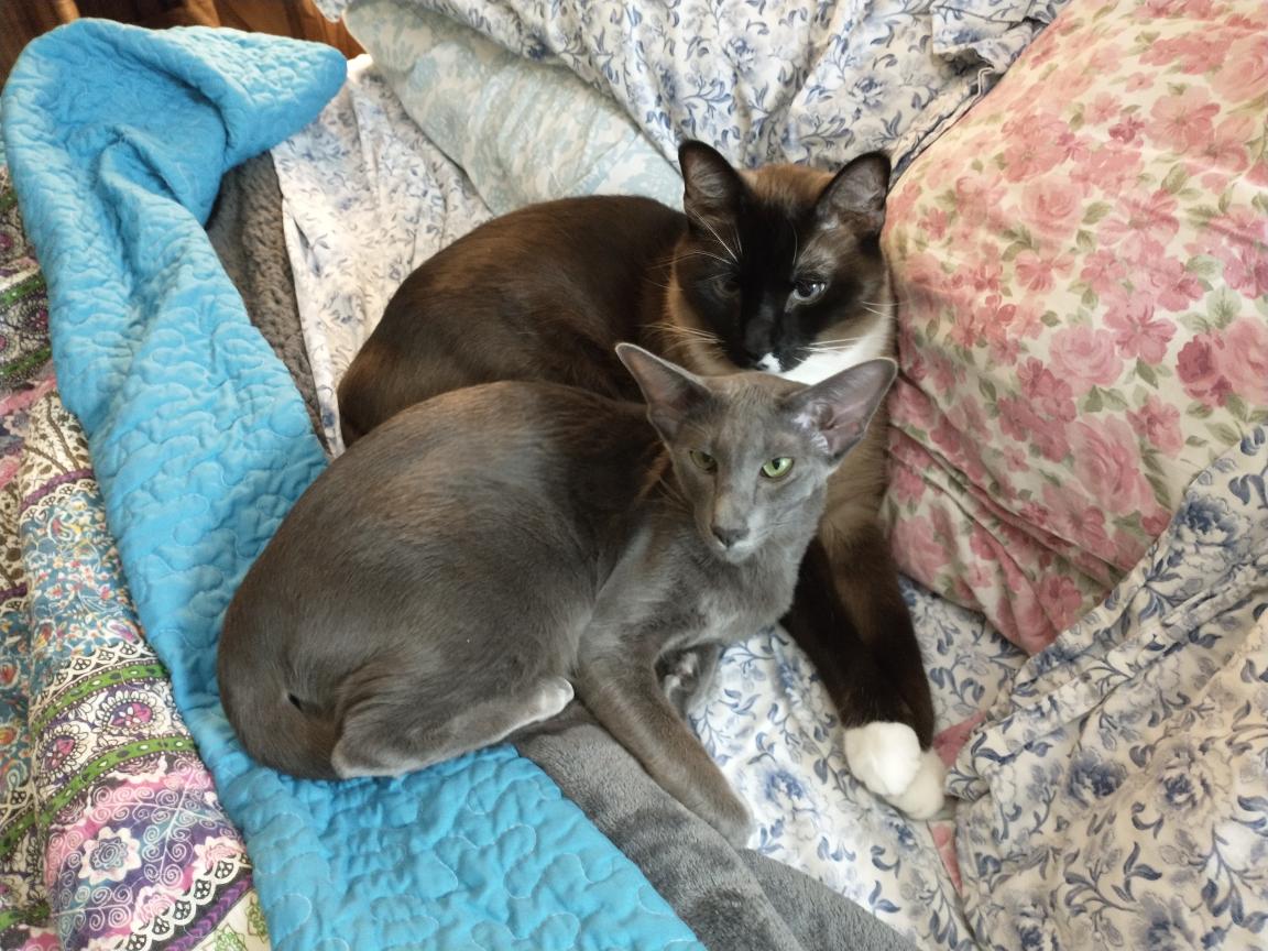 click for larger size