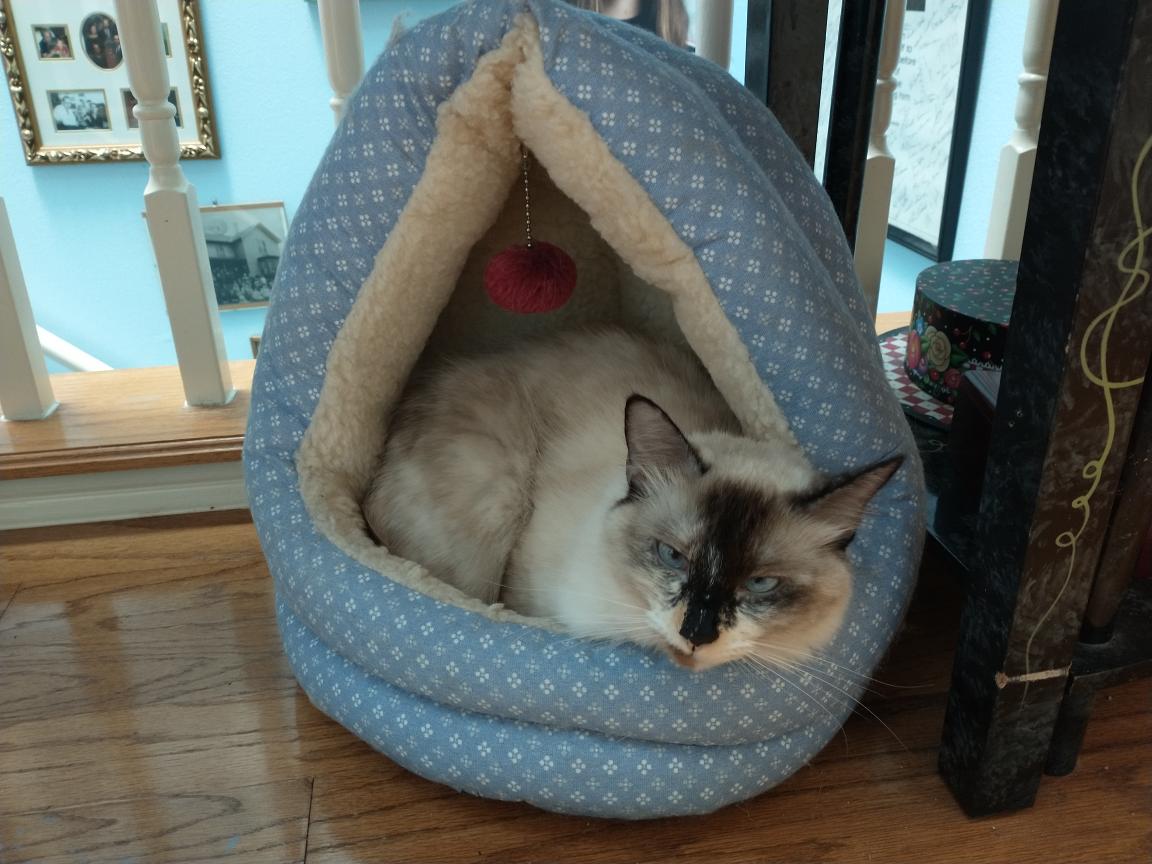 click for larger size