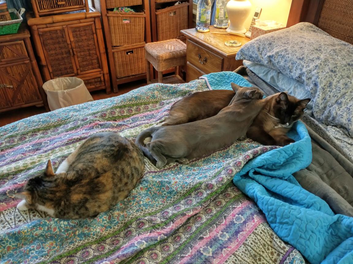 click for larger size