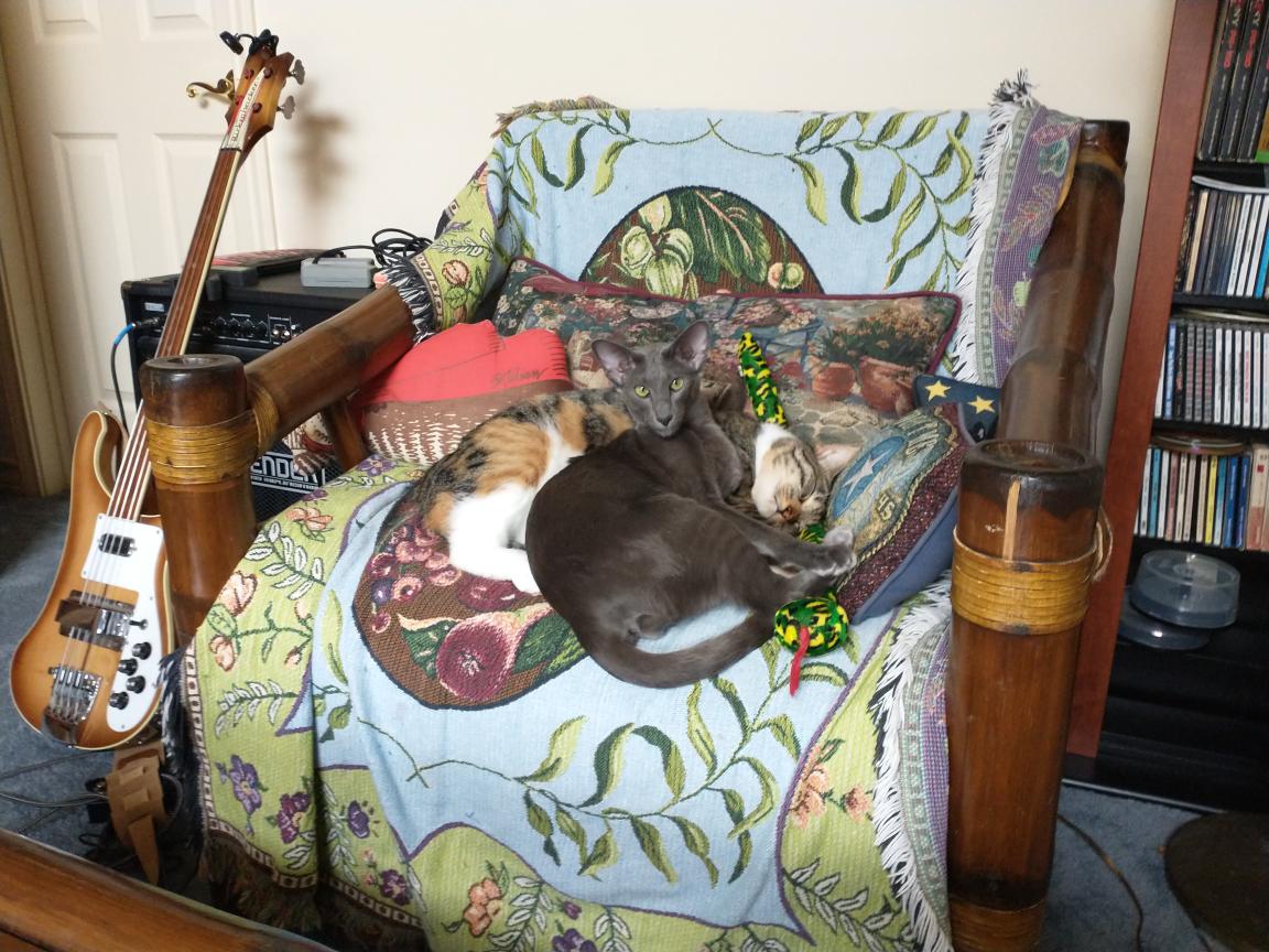 click for larger size