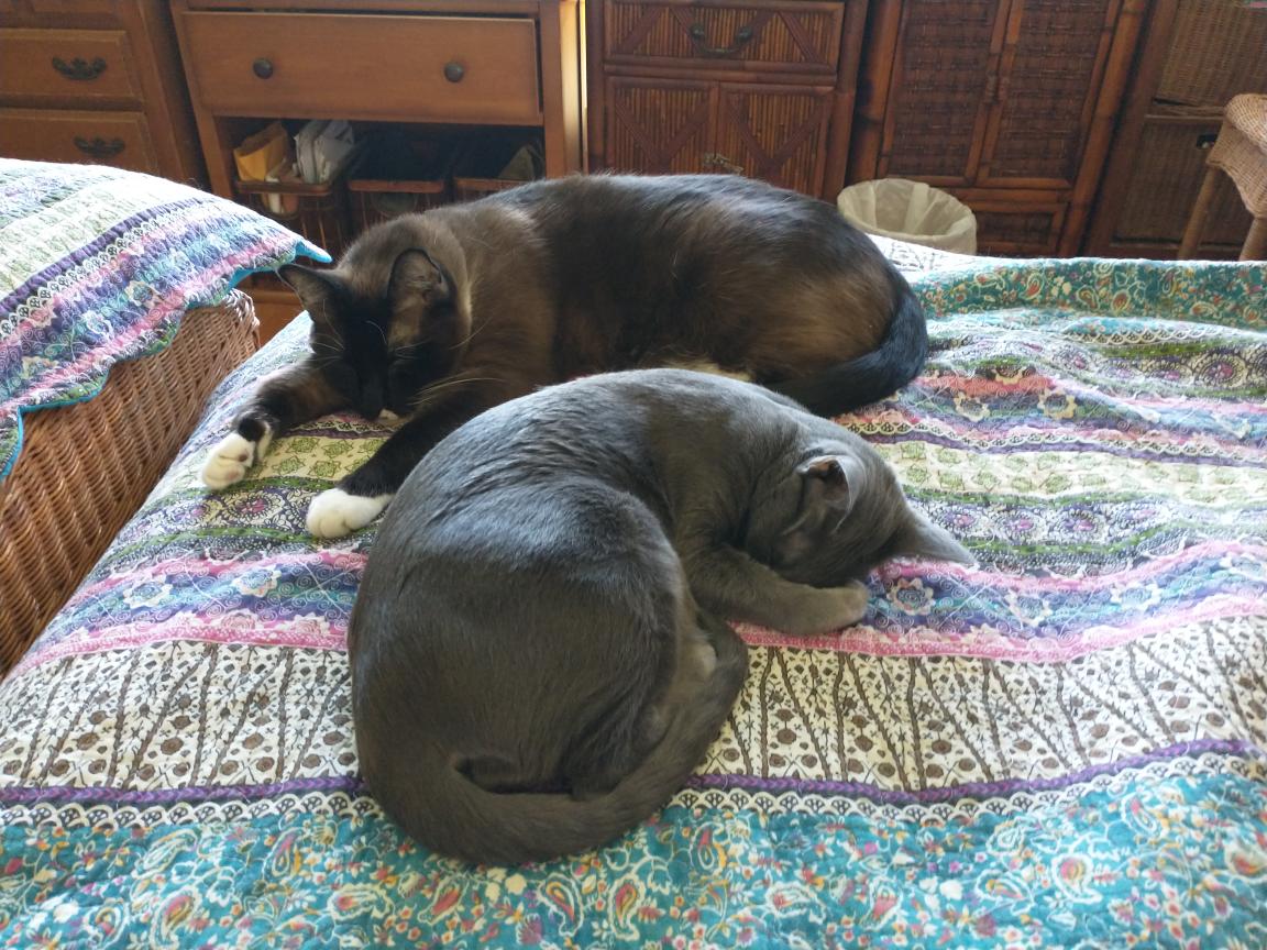 click for larger size