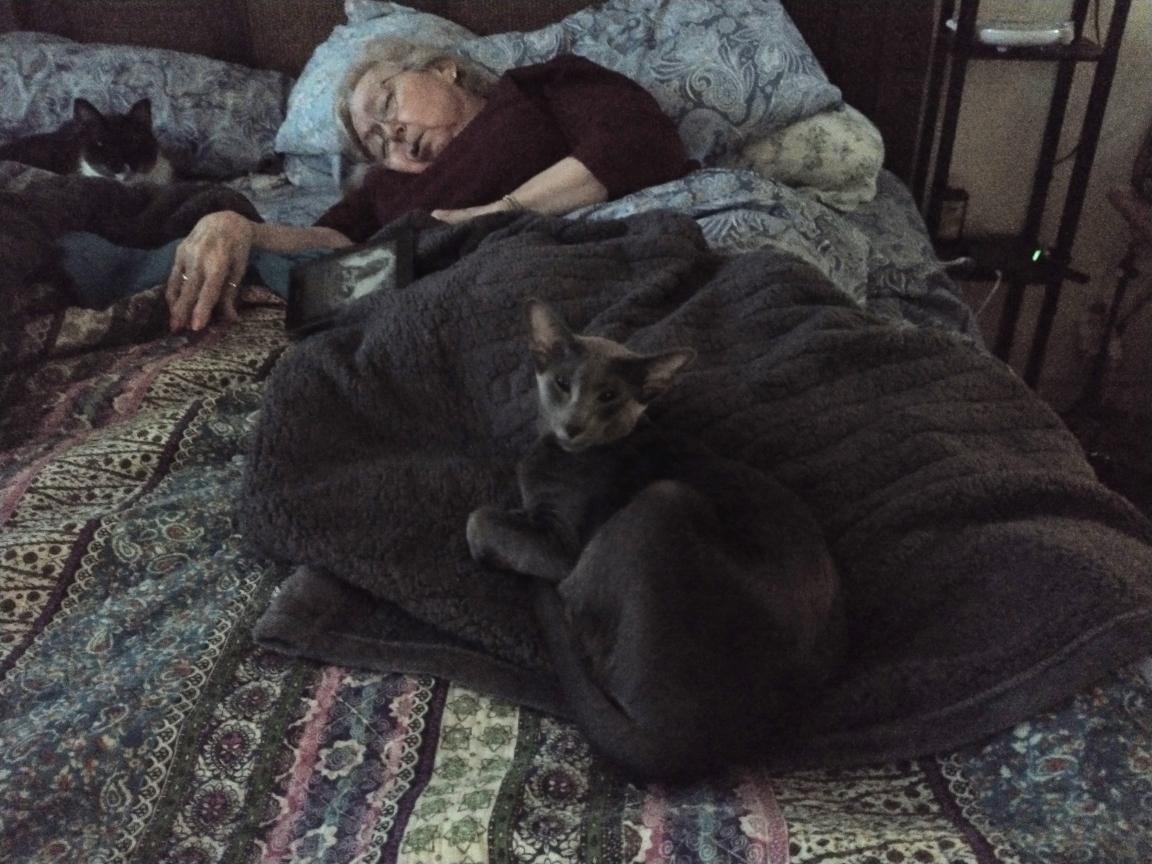 click for larger size