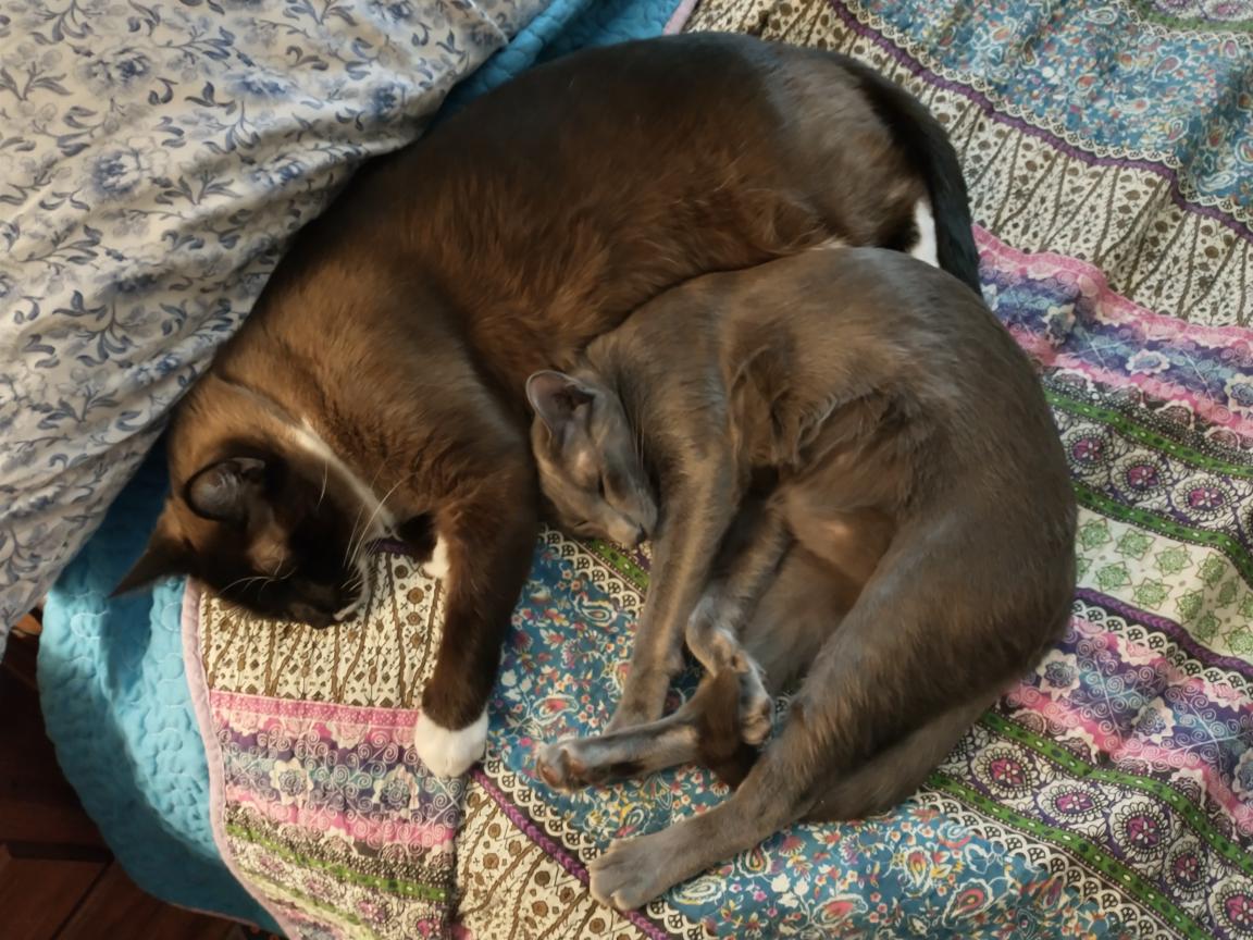 click for larger size