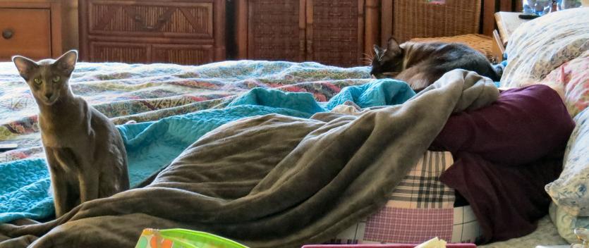 click for larger size