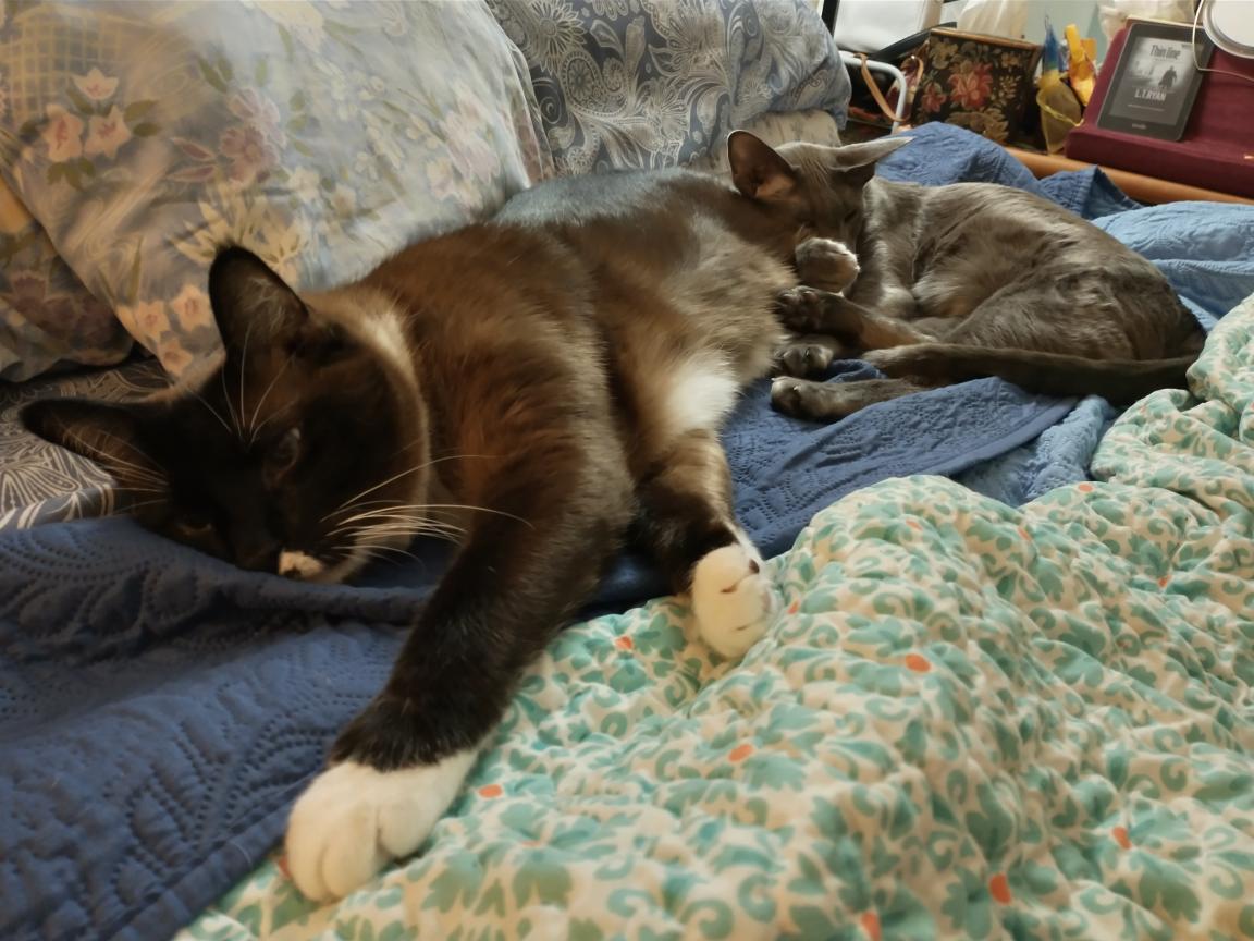 click for larger size