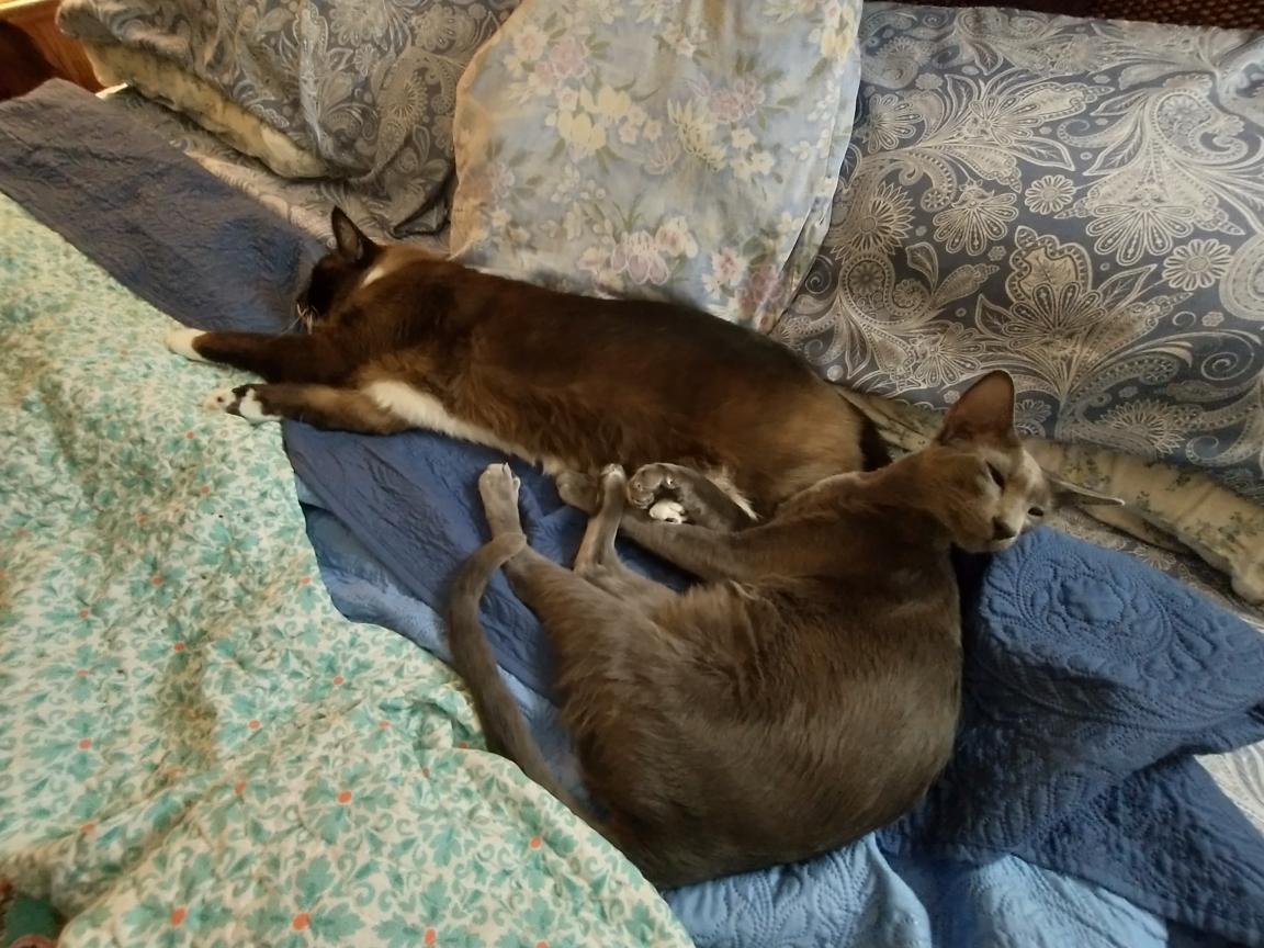 click for larger size