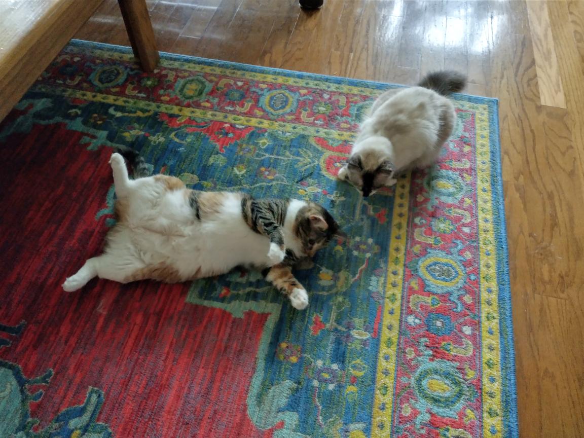 click for larger size