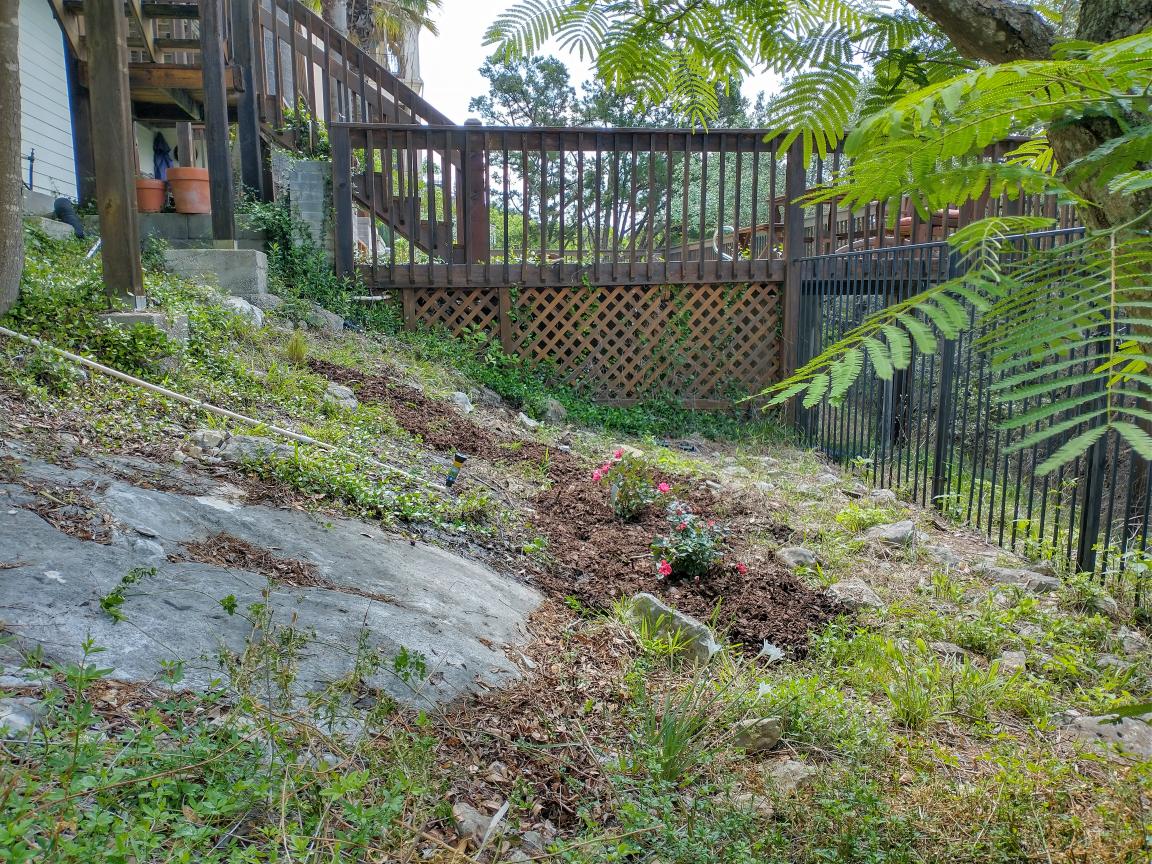 click for larger size