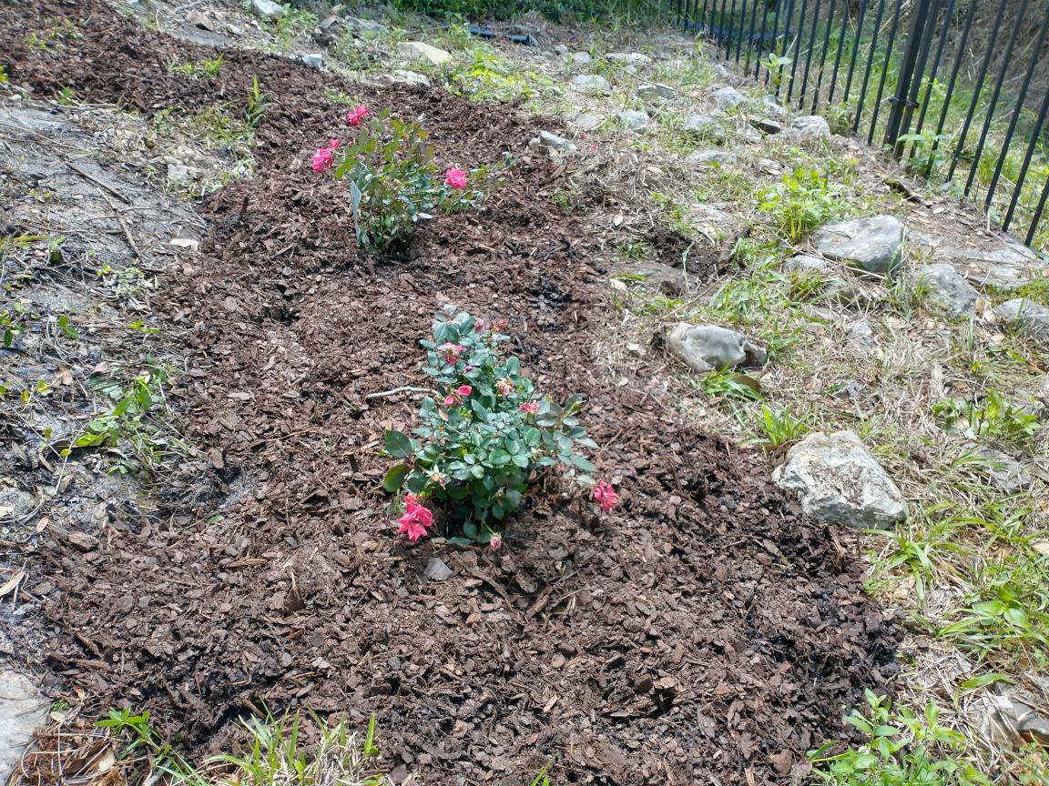 click for larger size