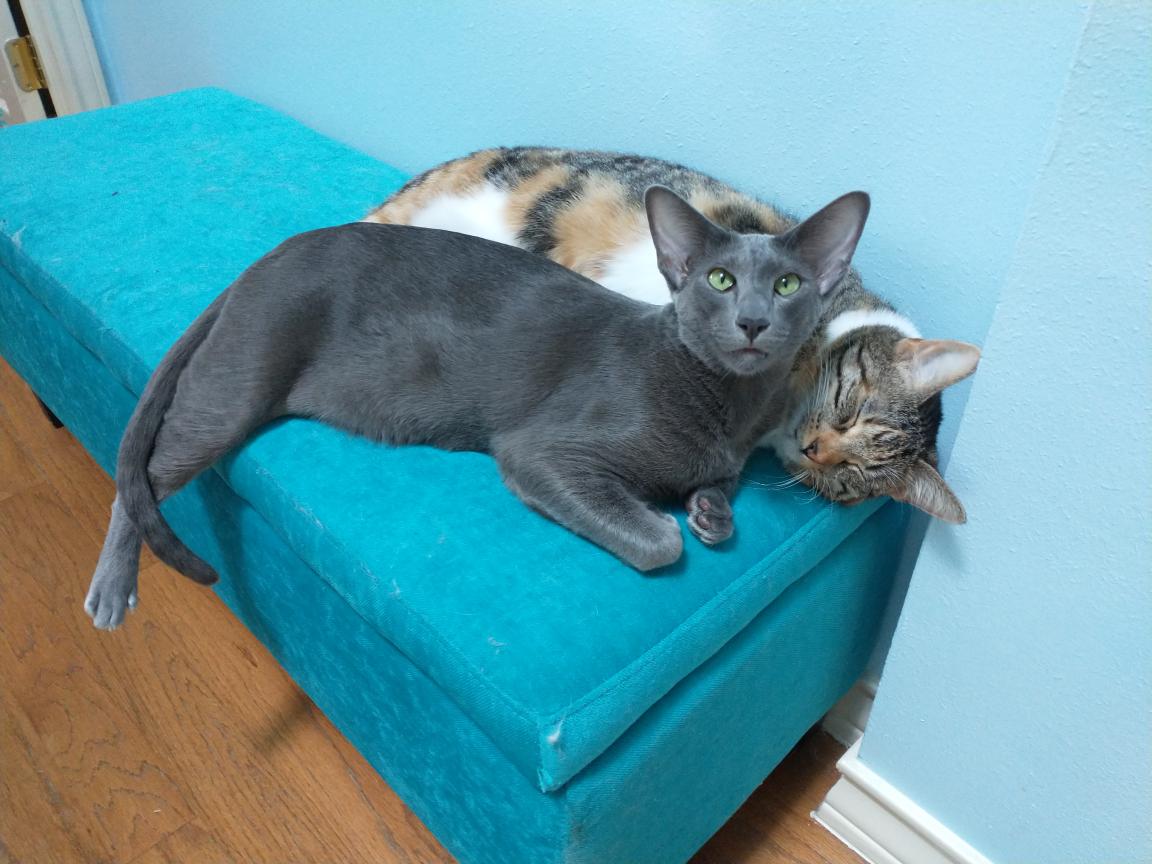 click for larger size