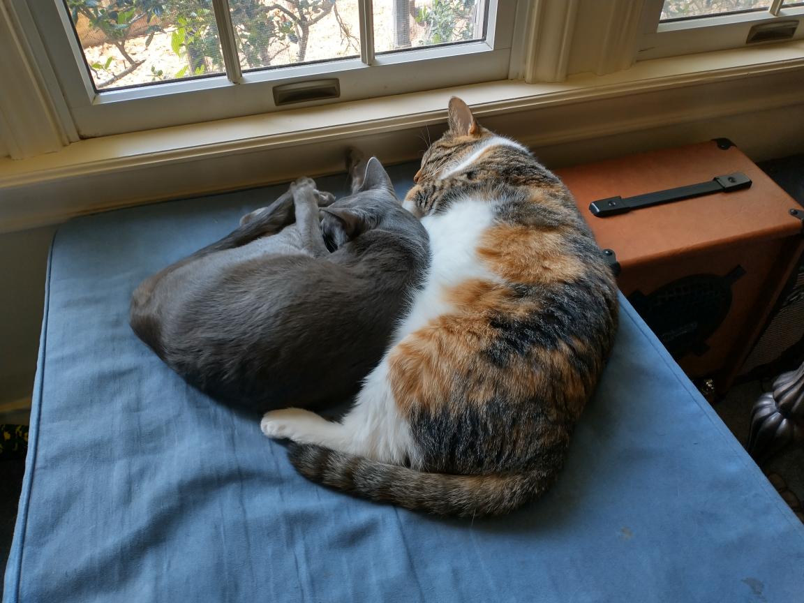 click for larger size