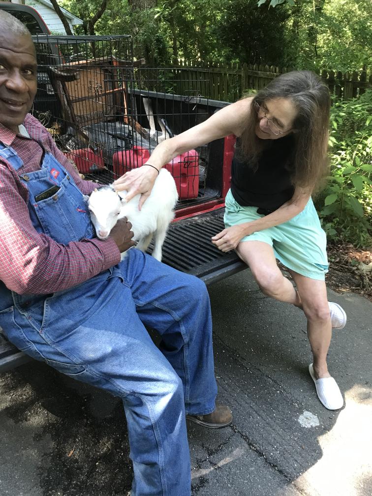 click for larger size