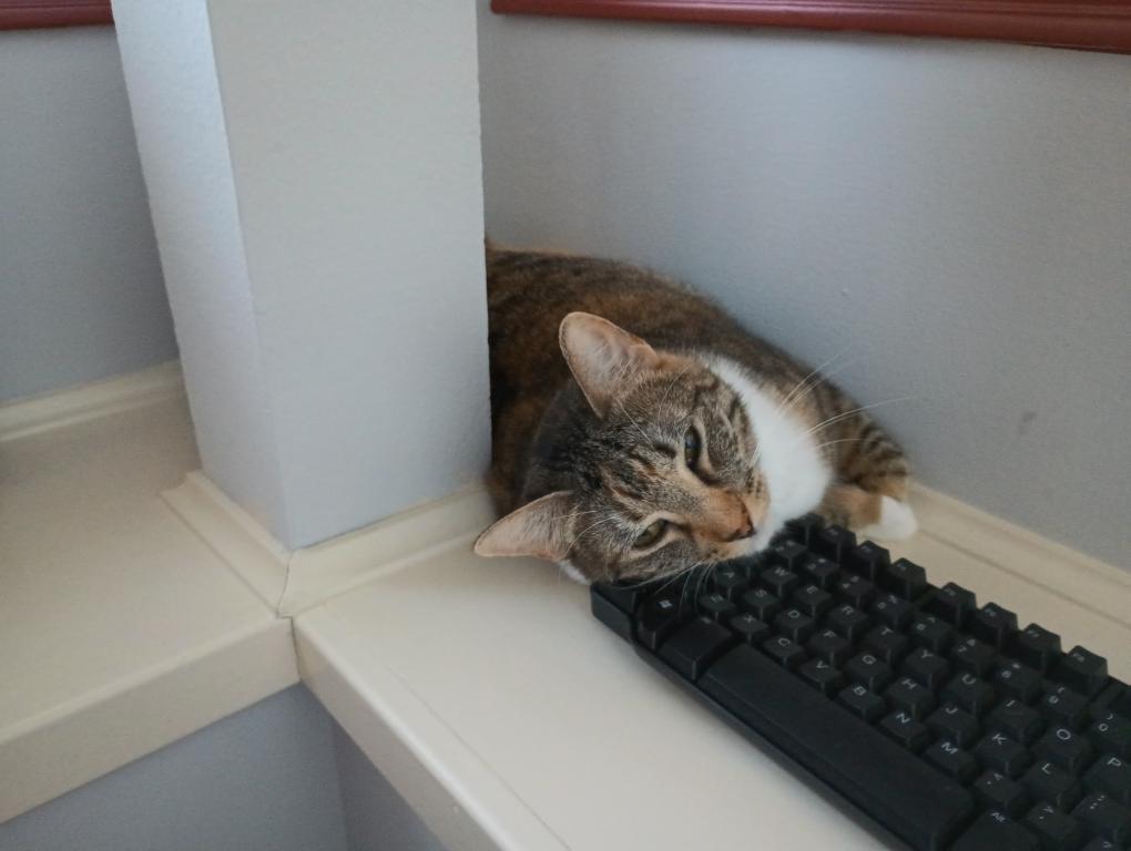 click for larger size