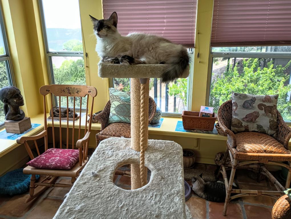 click for larger size