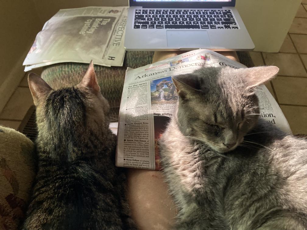 click for larger size