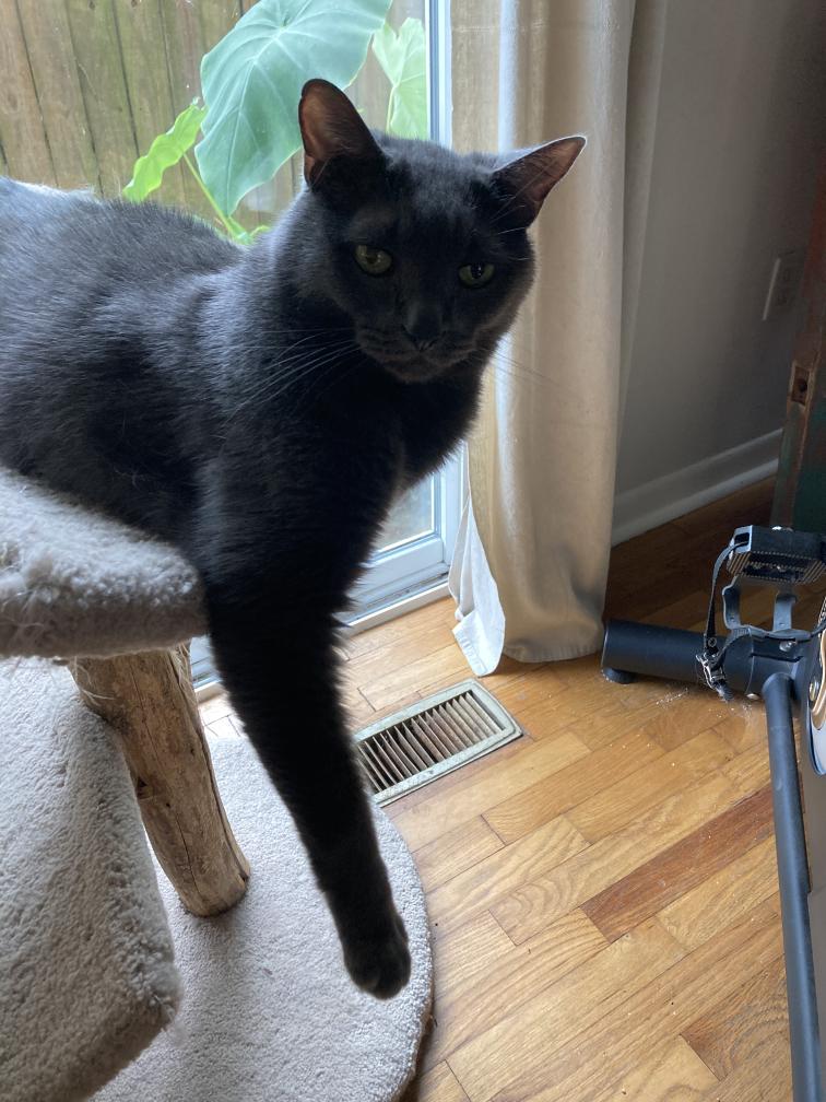 click for larger size