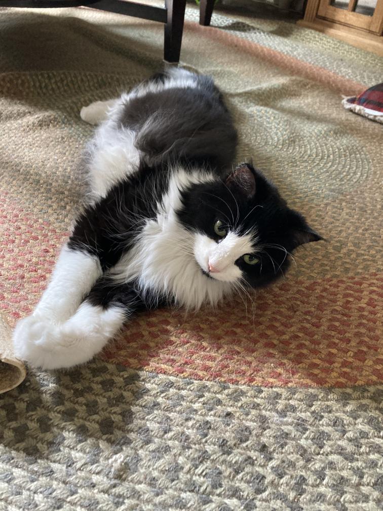 click for larger size