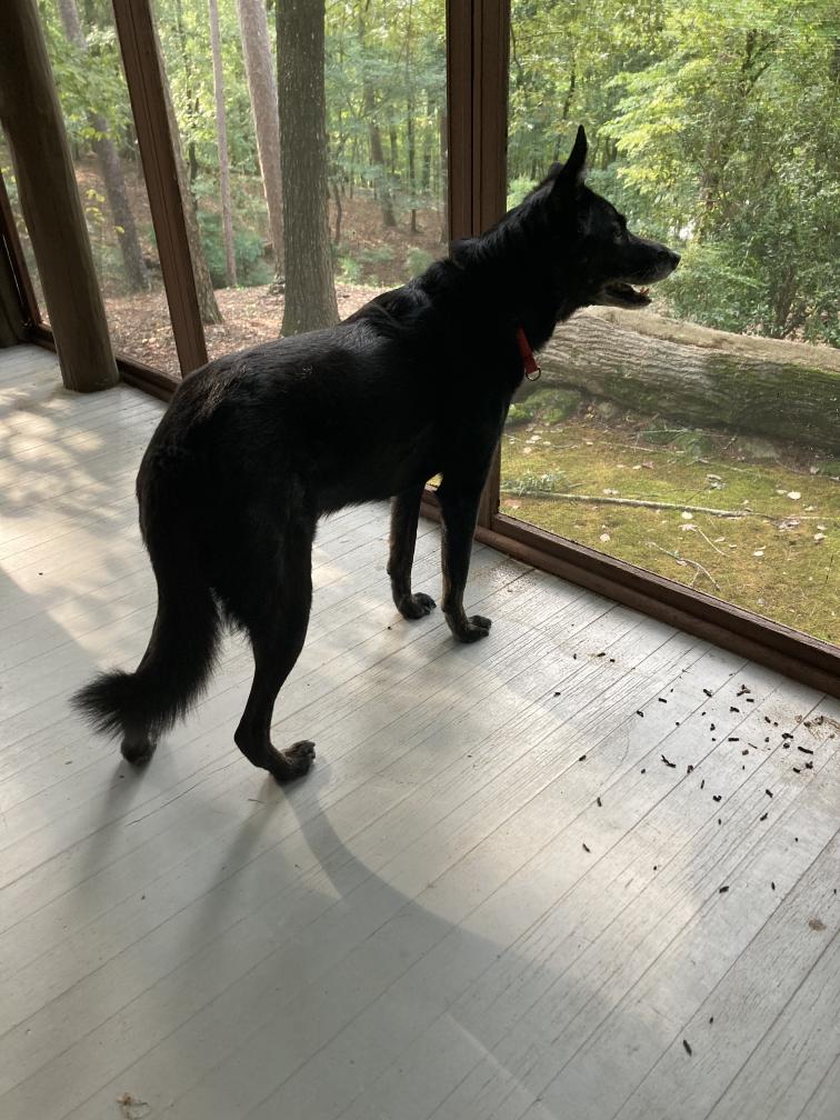 click for larger size