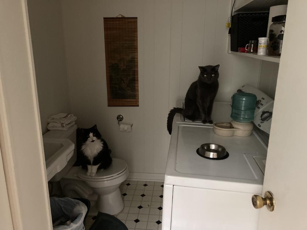 click for larger size