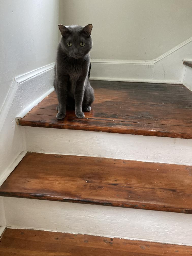 click for larger size