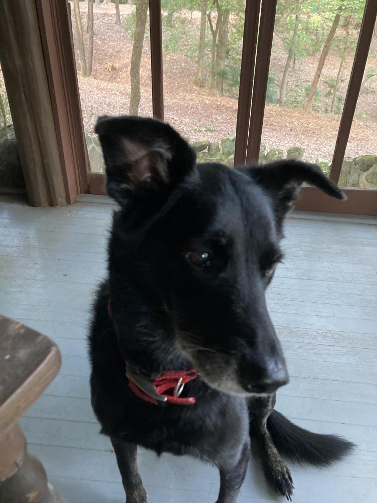 click for larger size