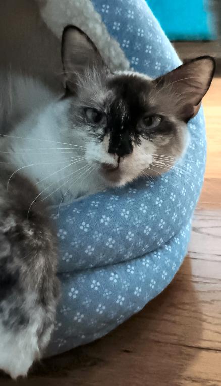 click for larger size