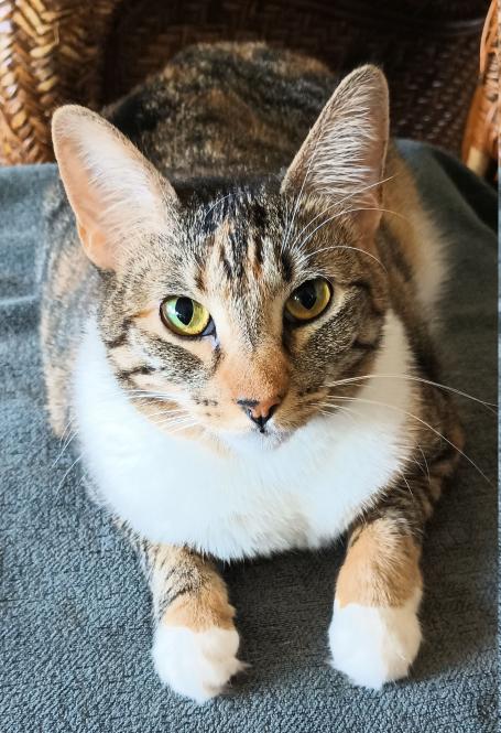 click for larger size