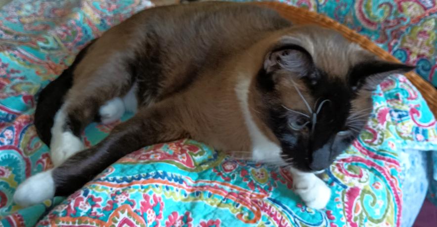 click for larger size