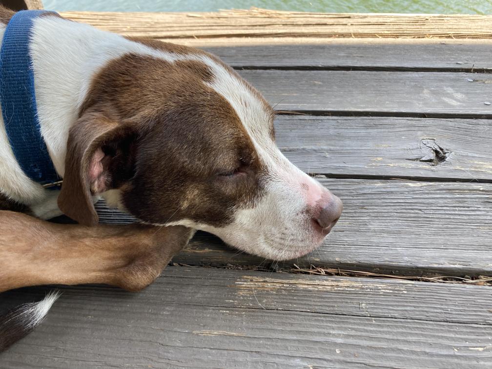 click for larger size