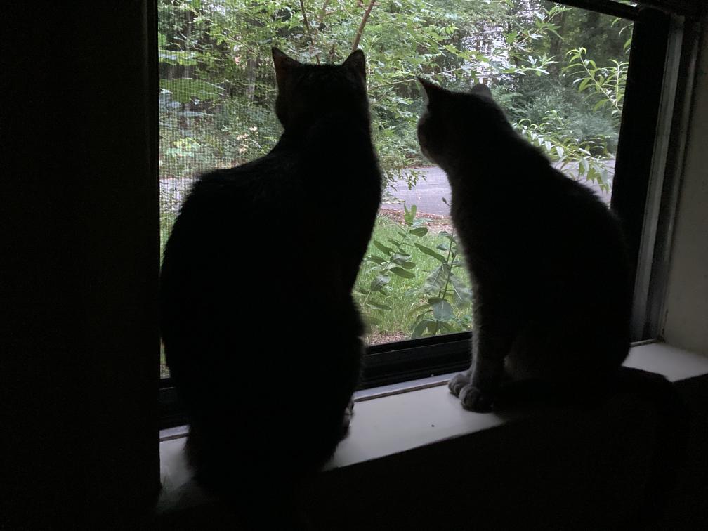 click for larger size