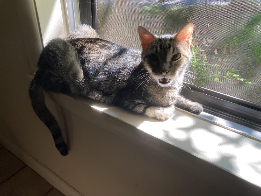 click for larger size