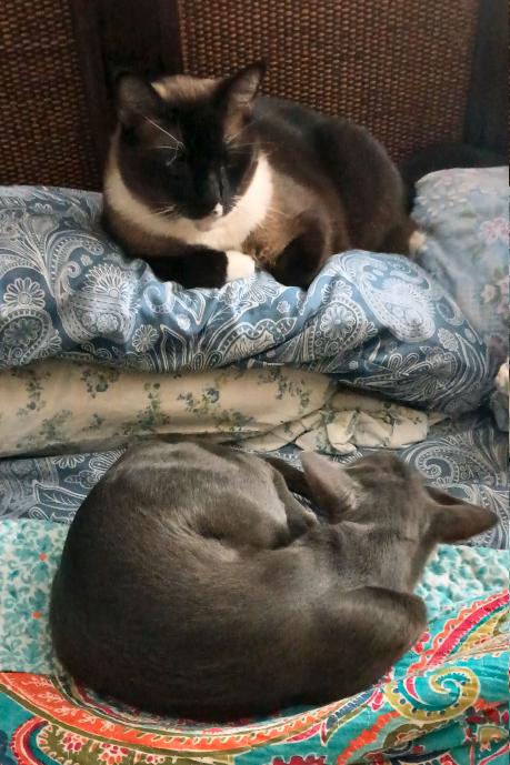 click for larger size