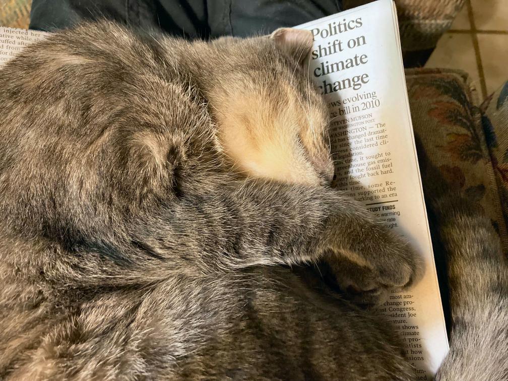 click for larger size