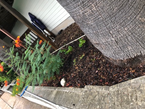 click for larger size