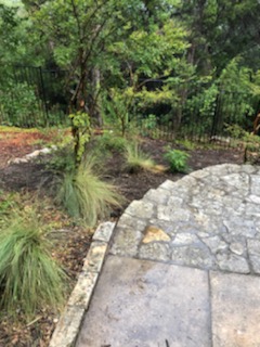 click for larger size