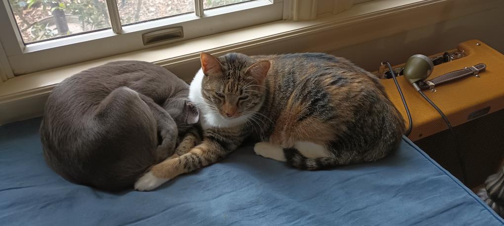 click for larger size