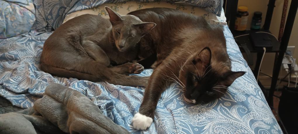 click for larger size