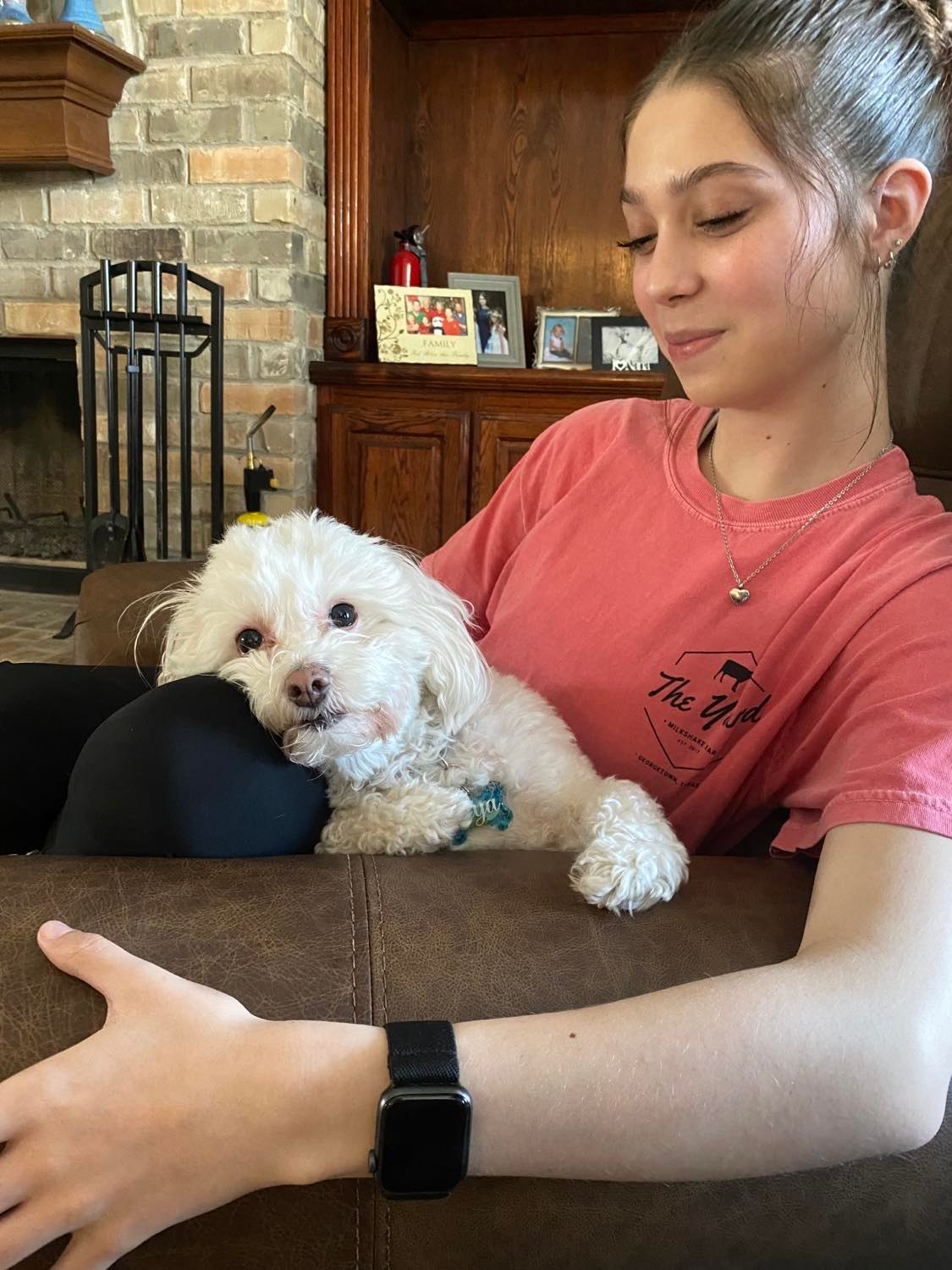 click for larger size