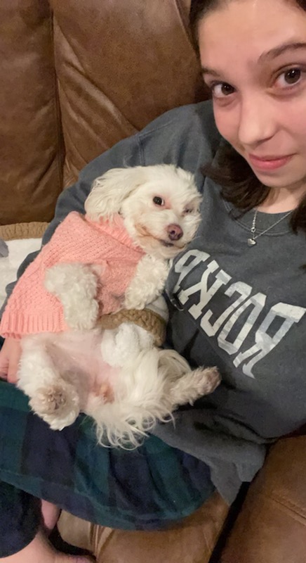 click for larger size