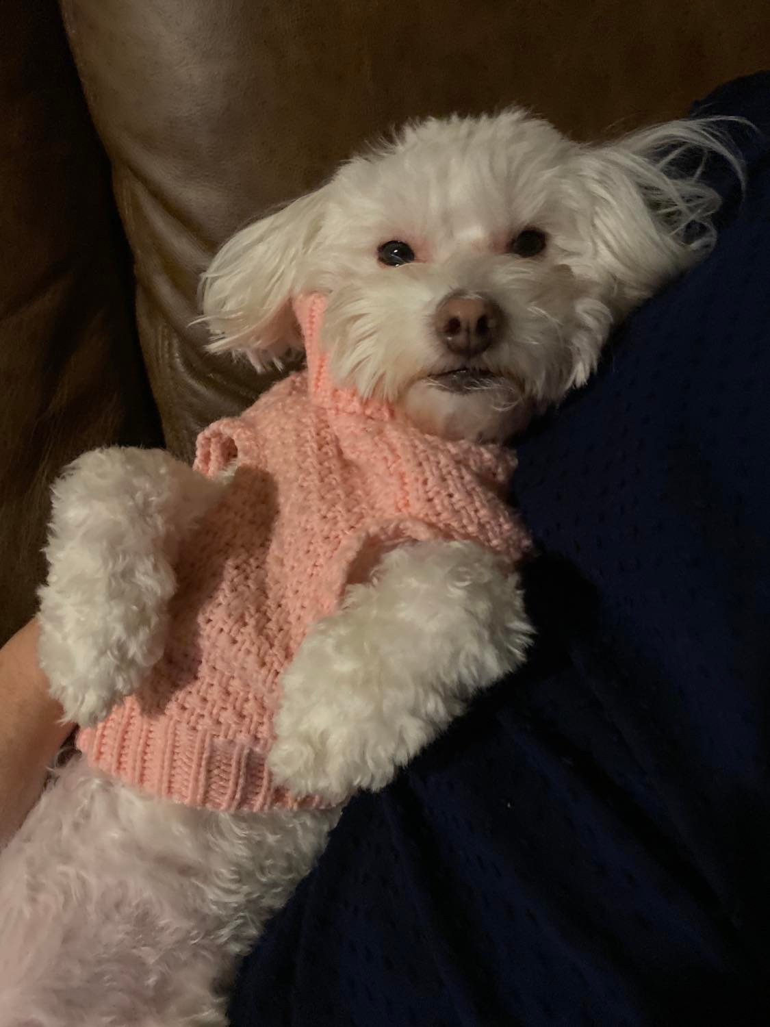 click for larger size