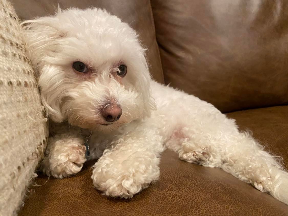 click for larger size