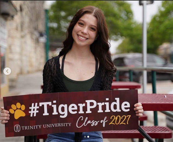 click for larger size