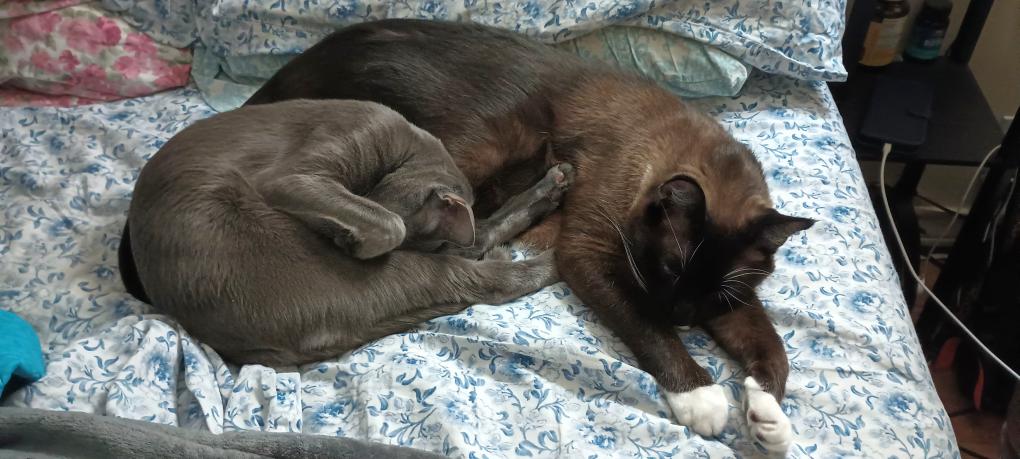 click for larger size