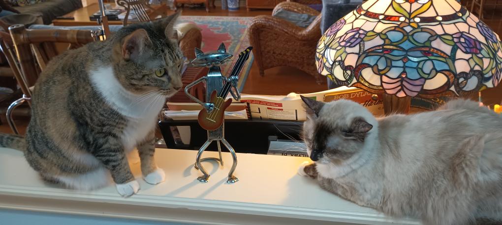 click for larger size