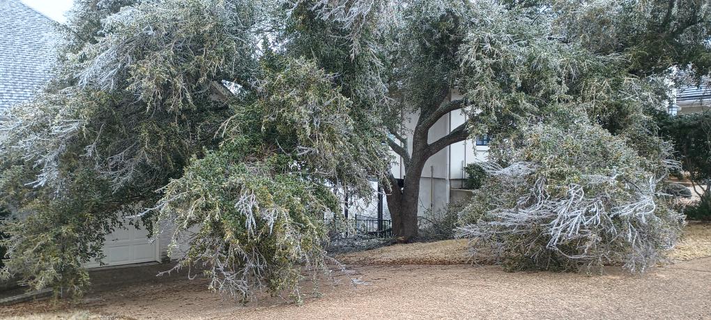 click for larger size