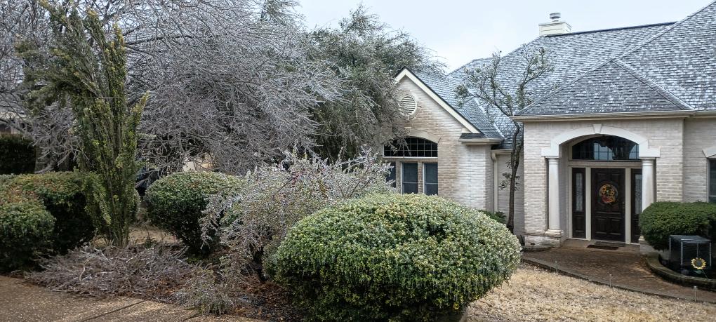 click for larger size