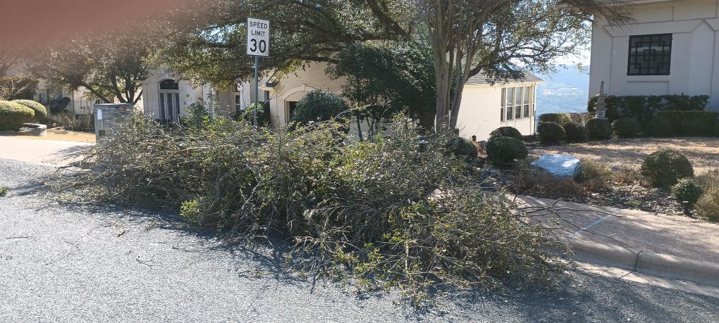 click for larger size