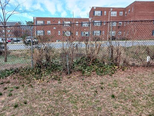 click for larger size