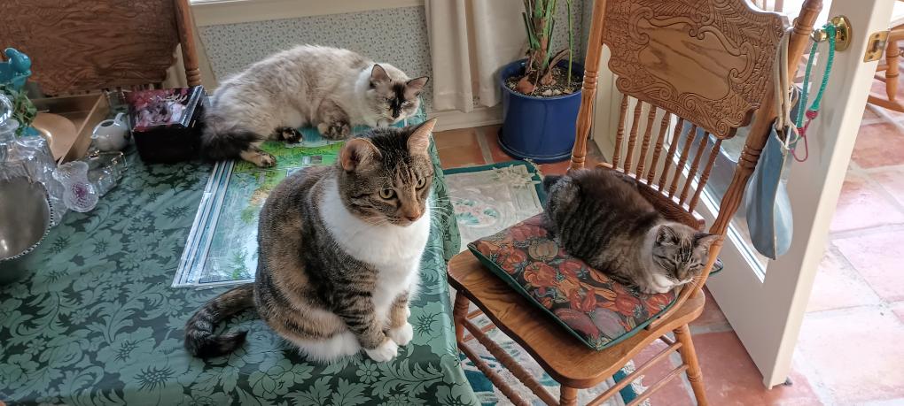 click for larger size